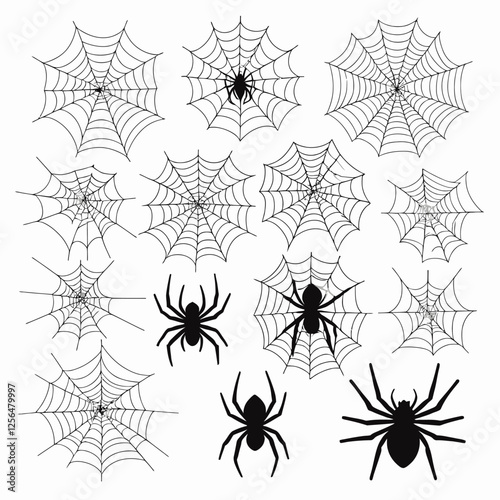 Realistic spider and spider web vector illustration. Detailed arachnid design with intricate web pattern, perfect for Halloween, horror themes, and nature graphics.