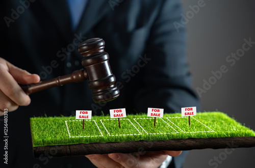 A businessman with a hammer holds an auction to sell land plots. Land litigation. Property investment. Competitive bidding. Property valuation. Commercial land deals
