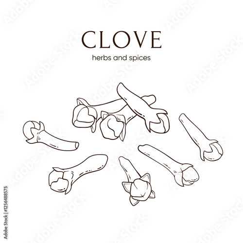 Dried cloves spices, hand drawn line vector illustration