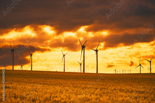 Obraz na płótnie Wind turbines in the wheat plantation in the morning at sunrise 52 w salonie