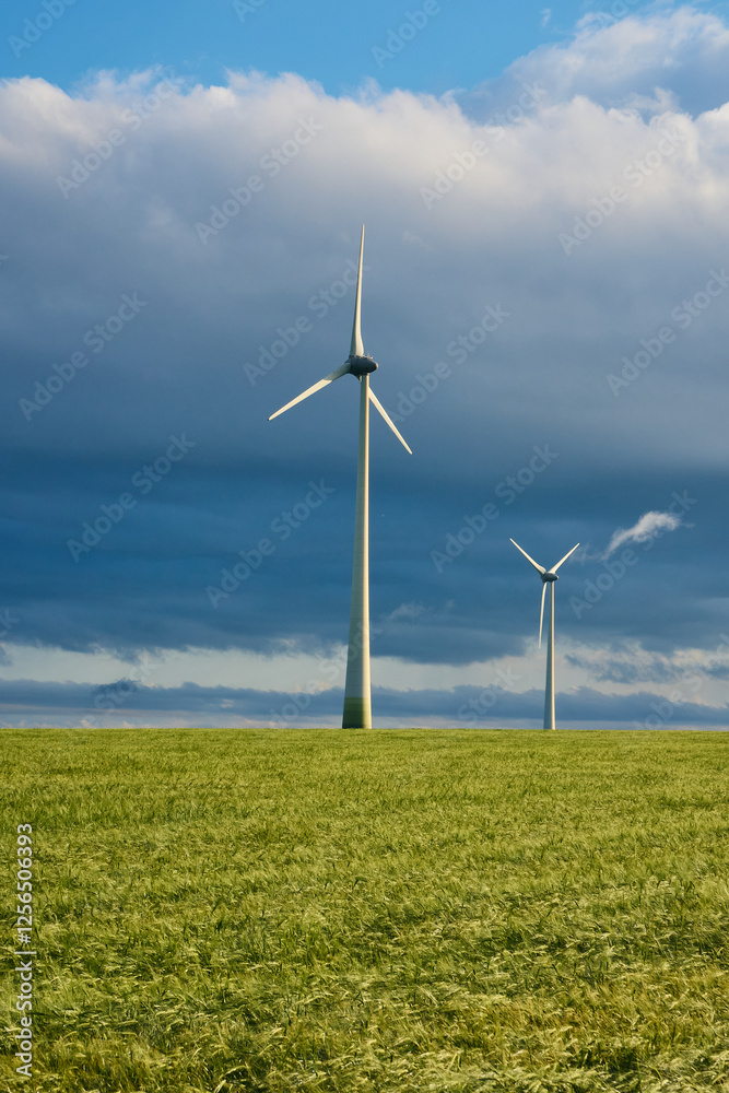 Wind turbines in the wheat plantation in the morning at sunrise