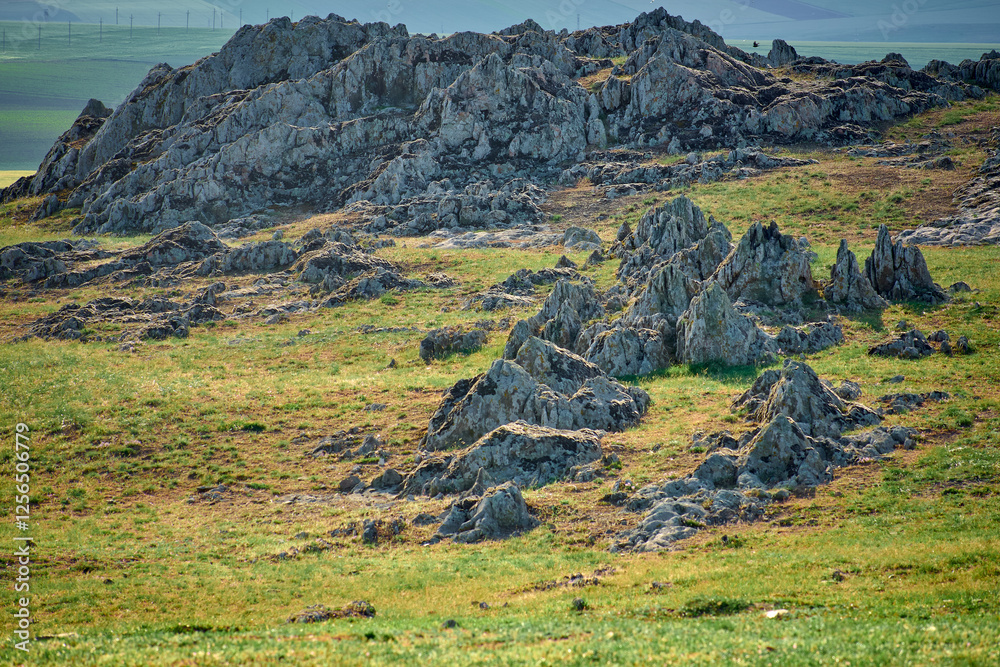 Green shales, old rocks in the Casimcei plateau in Dobrogea, Romania