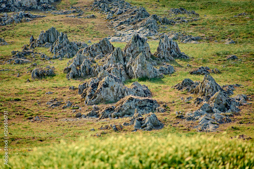 Green shales, old rocks in the Casimcei plateau in Dobrogea, Romania