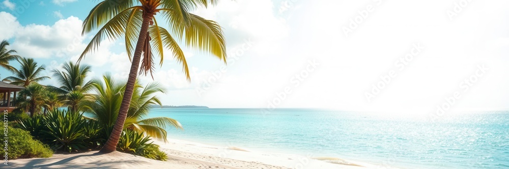 Fototapeta premium Realistic shadow effect of a palm tree on a sandy beach, tropical, graphic design, outdoor