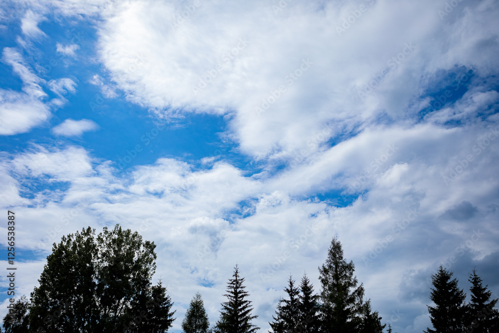 A beautiful and scenic sky filled with clouds, complemented by trees in the background A beautiful and scenic sky filled with clouds, complemented by trees in the background
