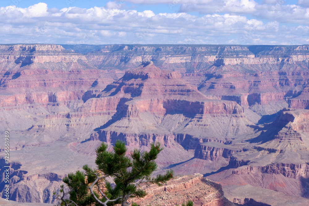Grand Canyon Scenic View with Lush Pine Grand Canyon Scenic View with Lush Pine