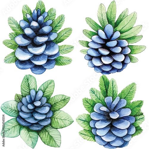 Spruce cone watercolor set hand drawn