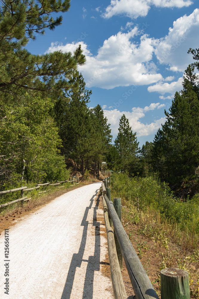 Fototapeta premium Wooden fence along the George S. Mickelson Trail, South Dakota