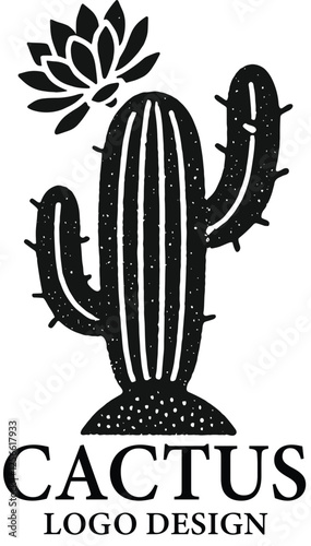 Vector Logo Design