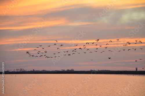 photograph of a sunset on a lake with ducks