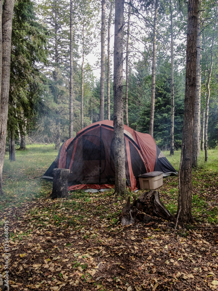 Camping Tent in Forest Clearing with Tall Trees Camping Tent in Forest Clearing with Tall Trees