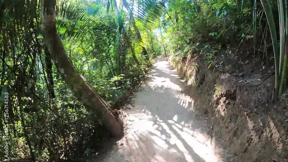Time lapse caminhando em trilha em meio a floresta no povoado de São Jorge, cidade de Alto Paraiso de Goiás, Estado de Goiás, região da chapada dos Veadeiros