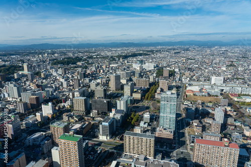 冬の浜松市街地の風景