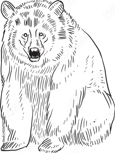 bear clip art