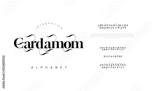 Cardamom typography beauty fashion elegant minimalist serif italic fonts decorative wedding vintage retro logos. Minimal luxury font alphabet logo. Vector illustration