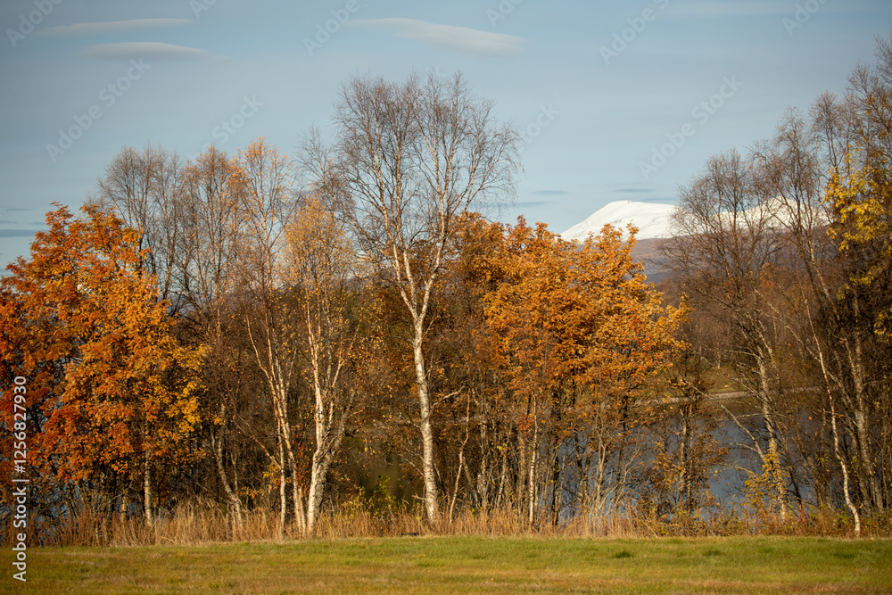 Autumn scenery in Lofoten Islands, Norway Autumn scenery in Lofoten Islands, Norway