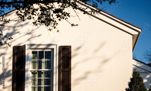 Obraz na płótnie Elegant home exterior: white window and shadowy tree branches classic architecture and design real estate photography architecture photographyarchitecture city building urban design exterior backgroun w salonie