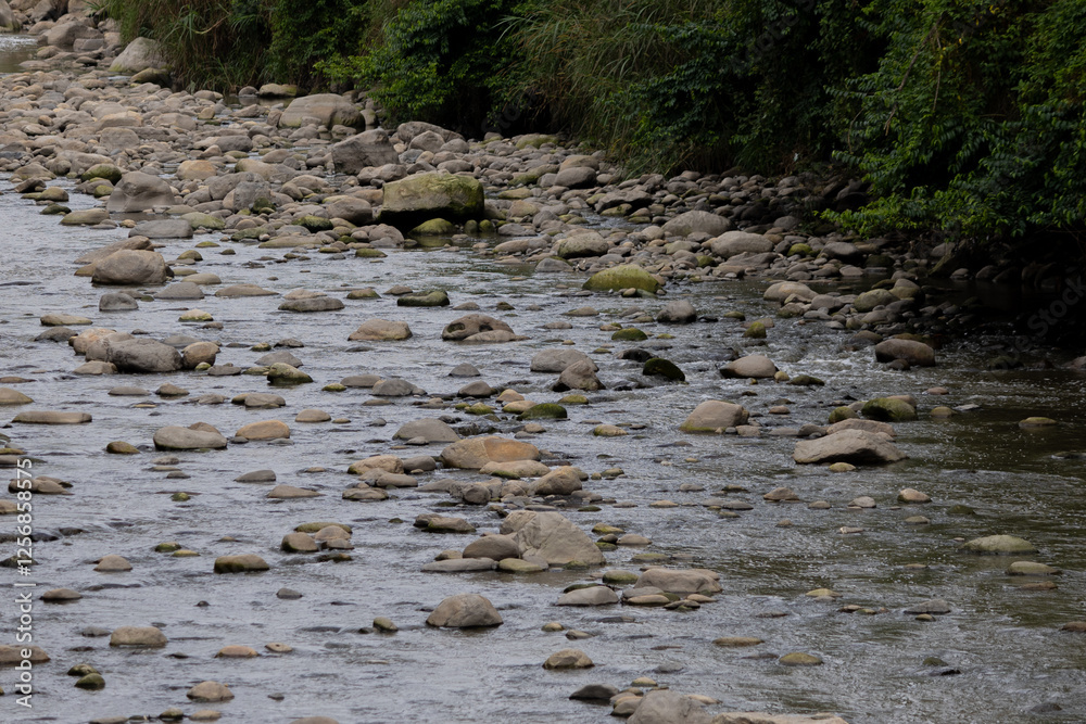 A polluted river with floating debris and rocks reflects nearby greenery and a concrete wall, highlighting urban environmental issues, bogota river A polluted river with floating debris and rocks reflects nearby greenery and a concrete wall, highlighting urban environmental issues, bogota river