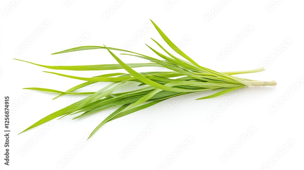 Fresh green chives, isolated, ready for use, as a garnish or ingredient Fresh green chives, isolated, ready for use, as a garnish or ingredient