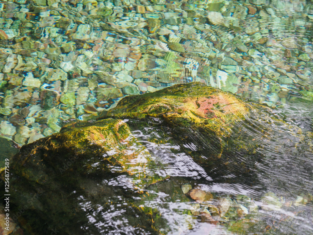 Natural mineral water source in the forest Natural mineral water source in the forest