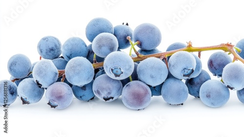 Freshly harvested blueberries arranged on a clean white surface, showcasing their vibrant color and texture