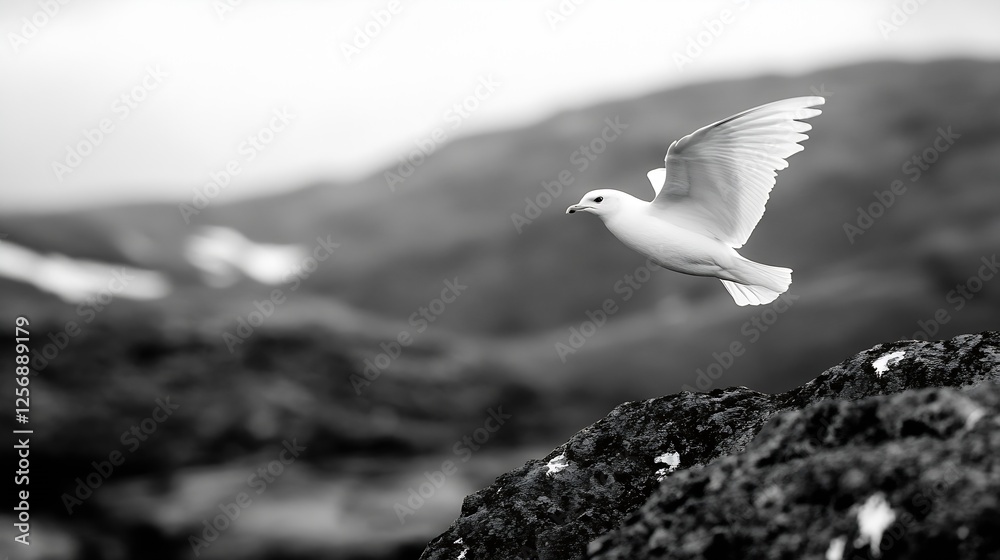 A striking black and white image of a dove soaring gracefully against a mountain backdrop : Generative AI A striking black and white image of a dove soaring gracefully against a mountain backdrop : Generative AI