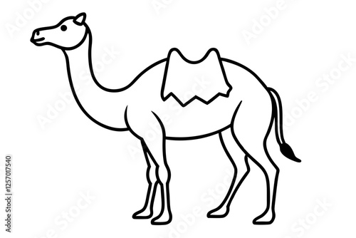 Camel Trek Illustration