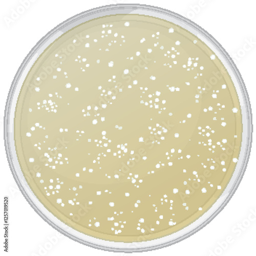 Penicillin Growth in Petri Dish