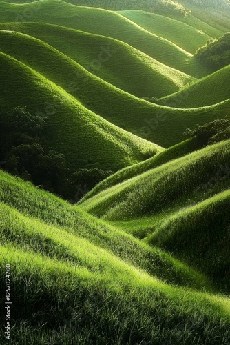 Green hills, grassy field, soft lighting, minimalism