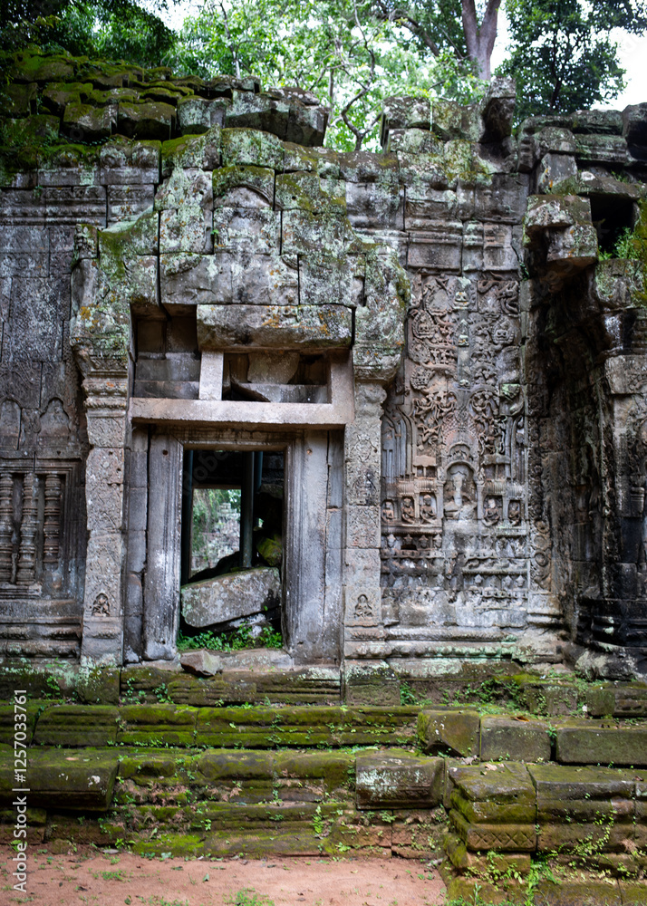 Fototapeta premium The ruins of Ta Prohm, the Tomb Raider Temple, in Angkor, Cambodia