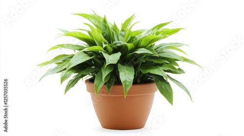 Wallpaper Mural Lush Green Potted Plant Against White Background for Home Decor Torontodigital.ca