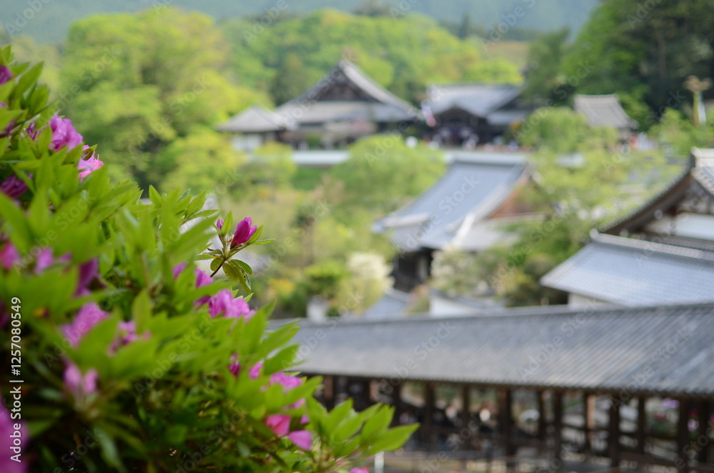 custom made wallpaper toronto digital【奈良】長谷寺に咲くツツジと登廊