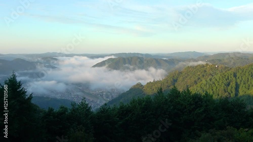 流れる雲海・備中松山城（岡山県・高梁市）
