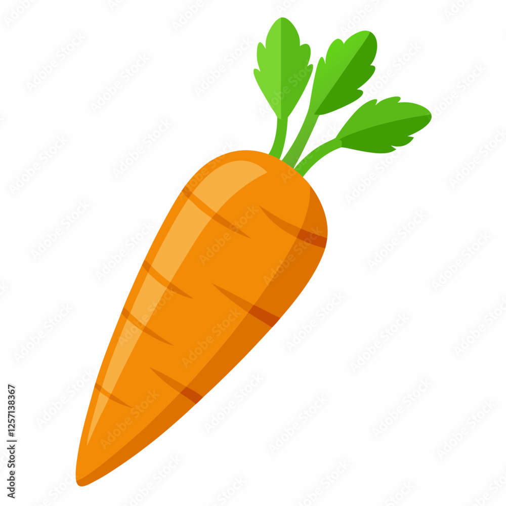 Carrot Vector Illustration on White Backgrou Carrot Vector Illustration on White Backgrou