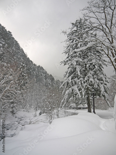 Okuhida winter landscape with mountain river and forest covered with deep snow photo