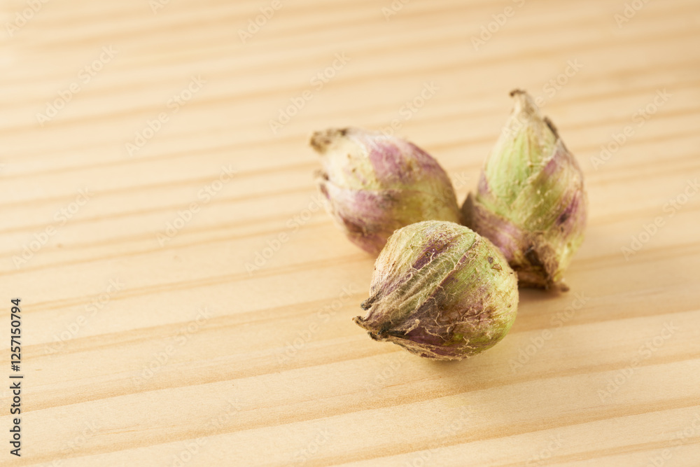 Fototapeta premium 山菜 ふきのとう イメージ