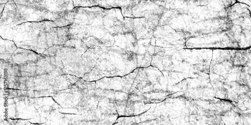 White and black paint overly distressed grunge crack and scratch dirty wall texture. old paper background. pattern of ink line, splashes wall background. black, white scratch transparent background.