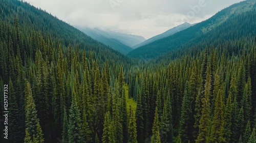A serene landscape of lush green forests nestled between majestic mountains under a cloudy sky.