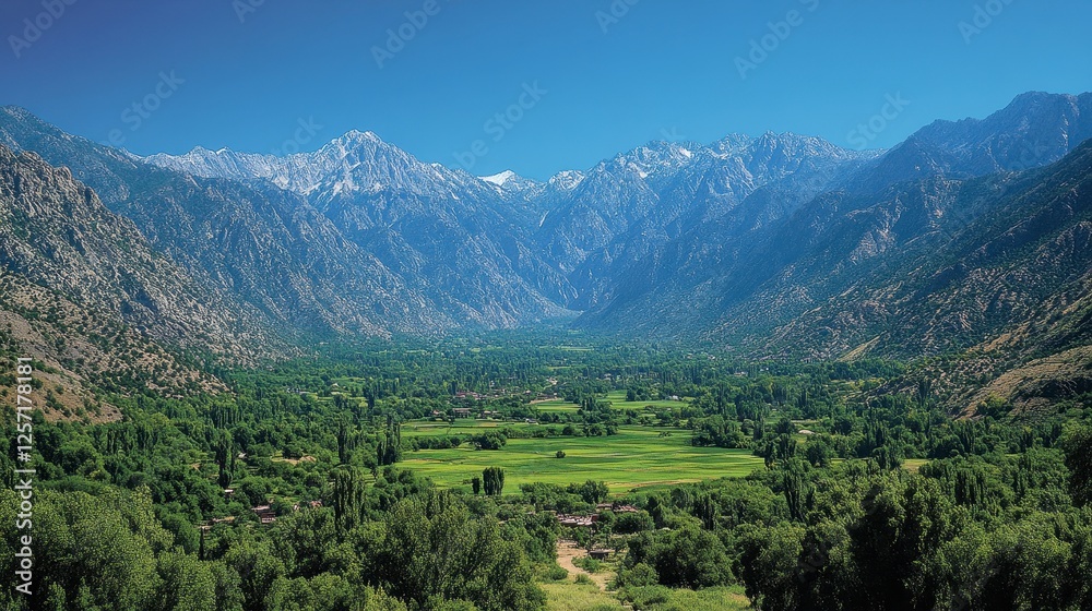 Mountain valley farmland scenic view, summer Mountain valley farmland scenic view, summer