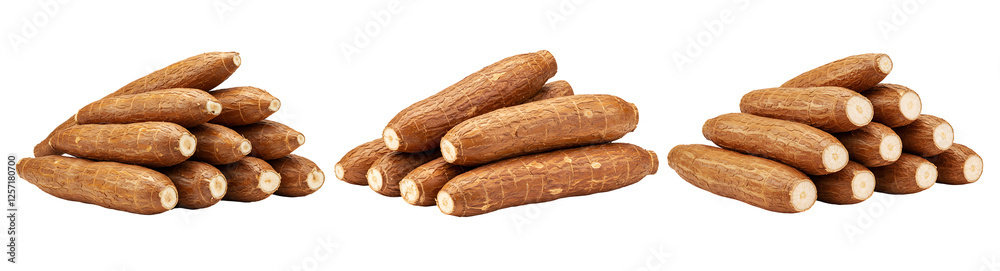 Fresh Cassava Roots Isolated on Transparent Background - High-Resolution Stock Photo Fresh Cassava Roots Isolated on Transparent Background - High-Resolution Stock Photo