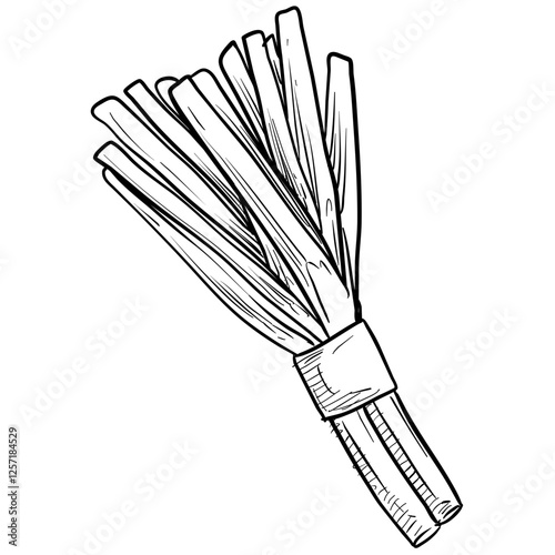 leek handdrawn illustration
