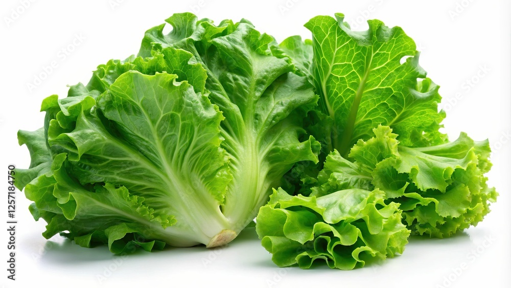 Fresh Lettuce Leaves on White Background - Crisp and fresh lettuce leaves arranged on a white background, showcasing their green color and texture.
Fresh Lettuce Leaves on White Background - Crisp and fresh lettuce leaves arranged on a white background, showcasing their green color and texture.