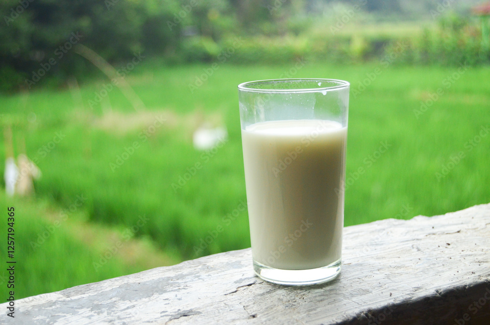 a glass of milk in the morning with a rice field background a glass of milk in the morning with a rice field background