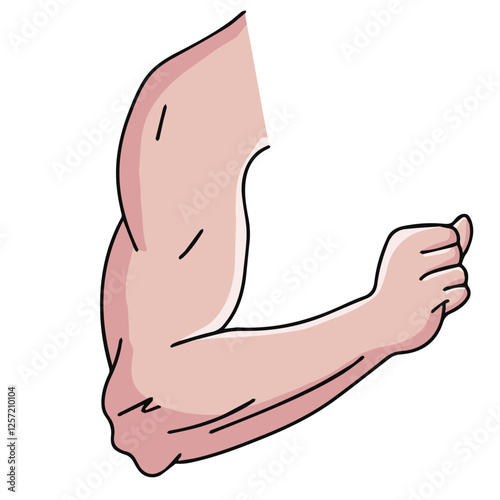 Science of hand drawn vector human arm illustration.
