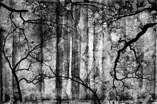 Gloomy forest with dead trees, cobwebs. Gothic style. Black and white illustration	