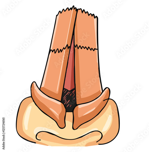 Science of hand drawn vector respiratory system illustration.