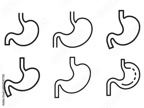 Stomach icon set vector line art illustration vector
