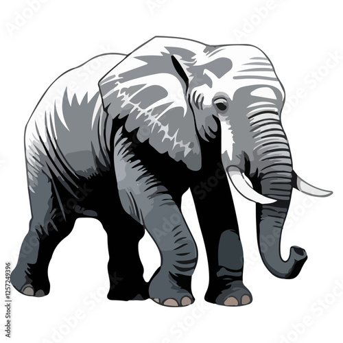 African Elephant Illustration