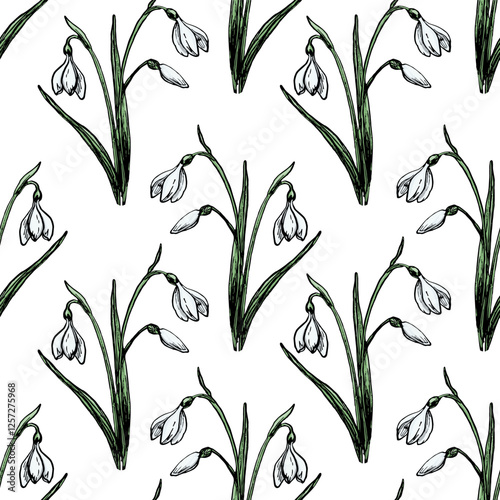 Seamless Pattern With Painted Snowdrops On White Background