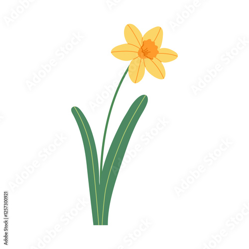 Yellow narcissus with leaves isolated on white background. Hand drawn vector botanical illustration.